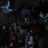 Rozsvícení VÁNOČNÍHO STROMU v Lulči