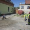 SDHL